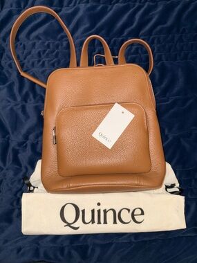 Quince Italian Leather Mini Convertible Backpack
